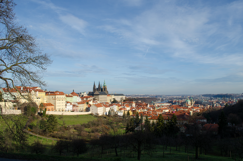 Prag © Pfotentour