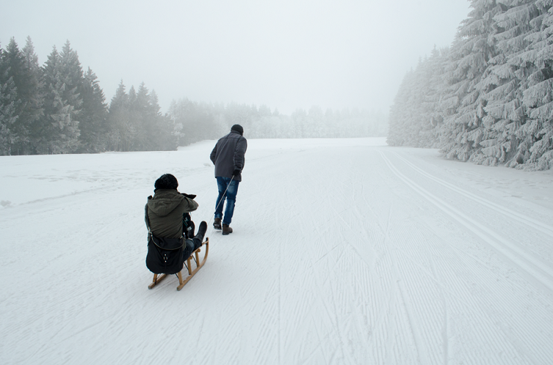 Winter im Harz © Pfotentour