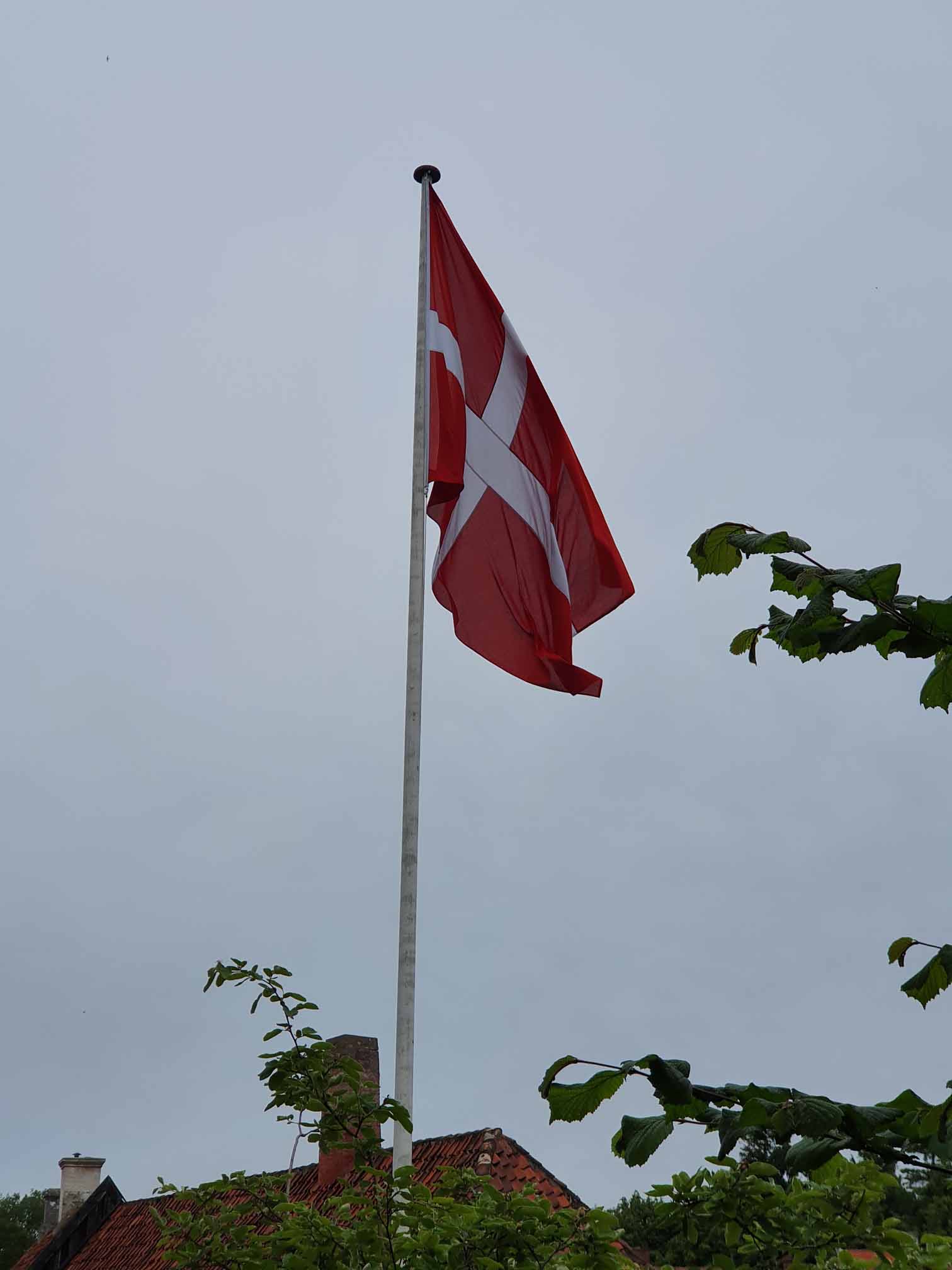 Dannebrog in Aarhus