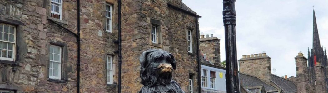Edinburgh: Eine Stadt für Hunde?