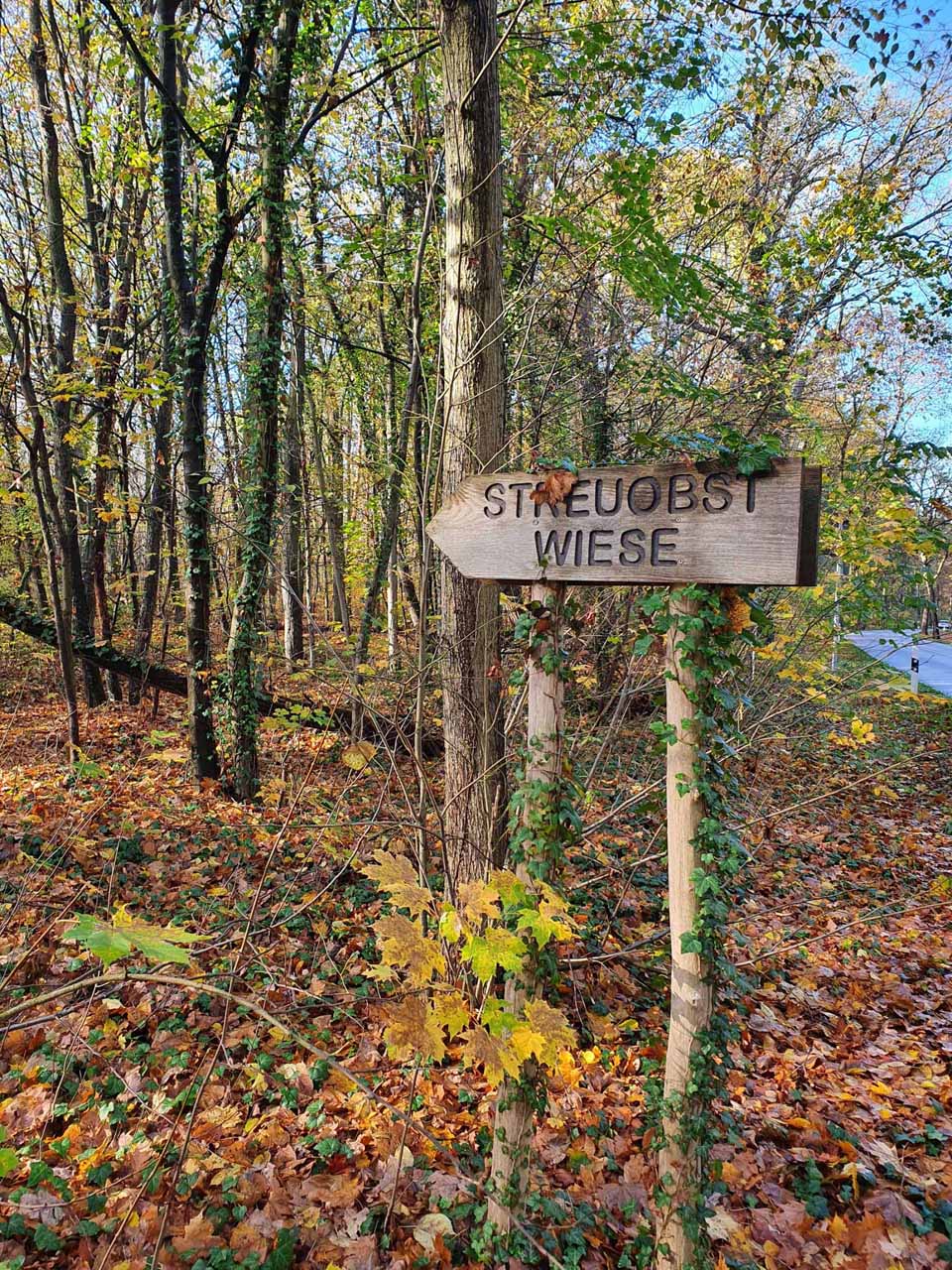 Hinweisschild "Streuobstwiese" im Herbstwald im Tierpark in Königswusterhausen