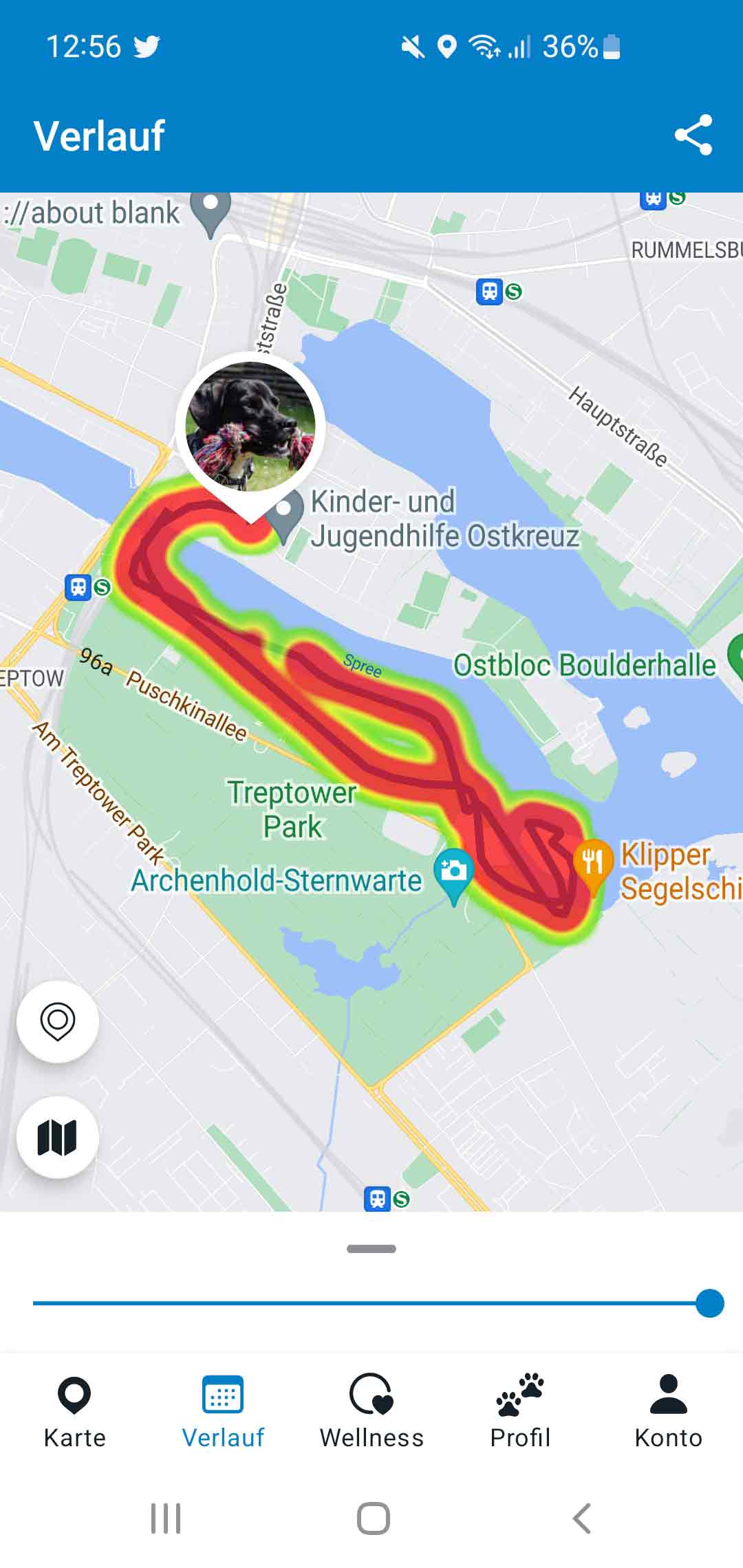 Tractive-GPS-Tracker-App: Verlauf