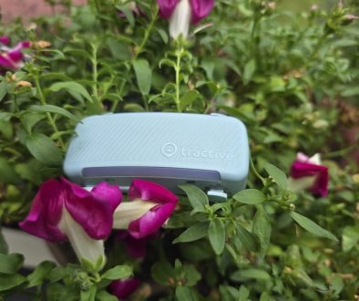 Tractive-GPS-Tracker DOG 6 in blau © Pfotentour