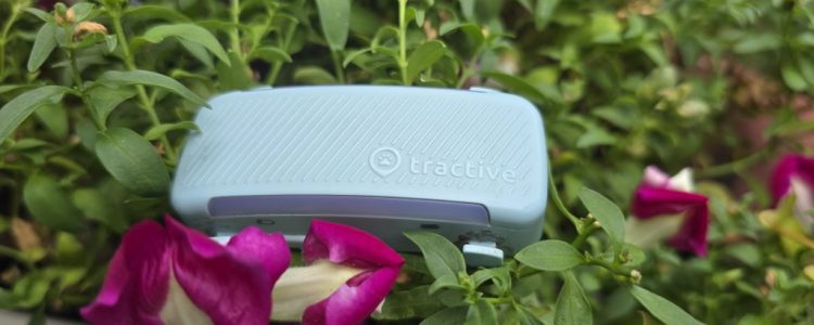 Getestet: Der neue GPS-Tracker für Hunde von Tractive (Stand 2025)