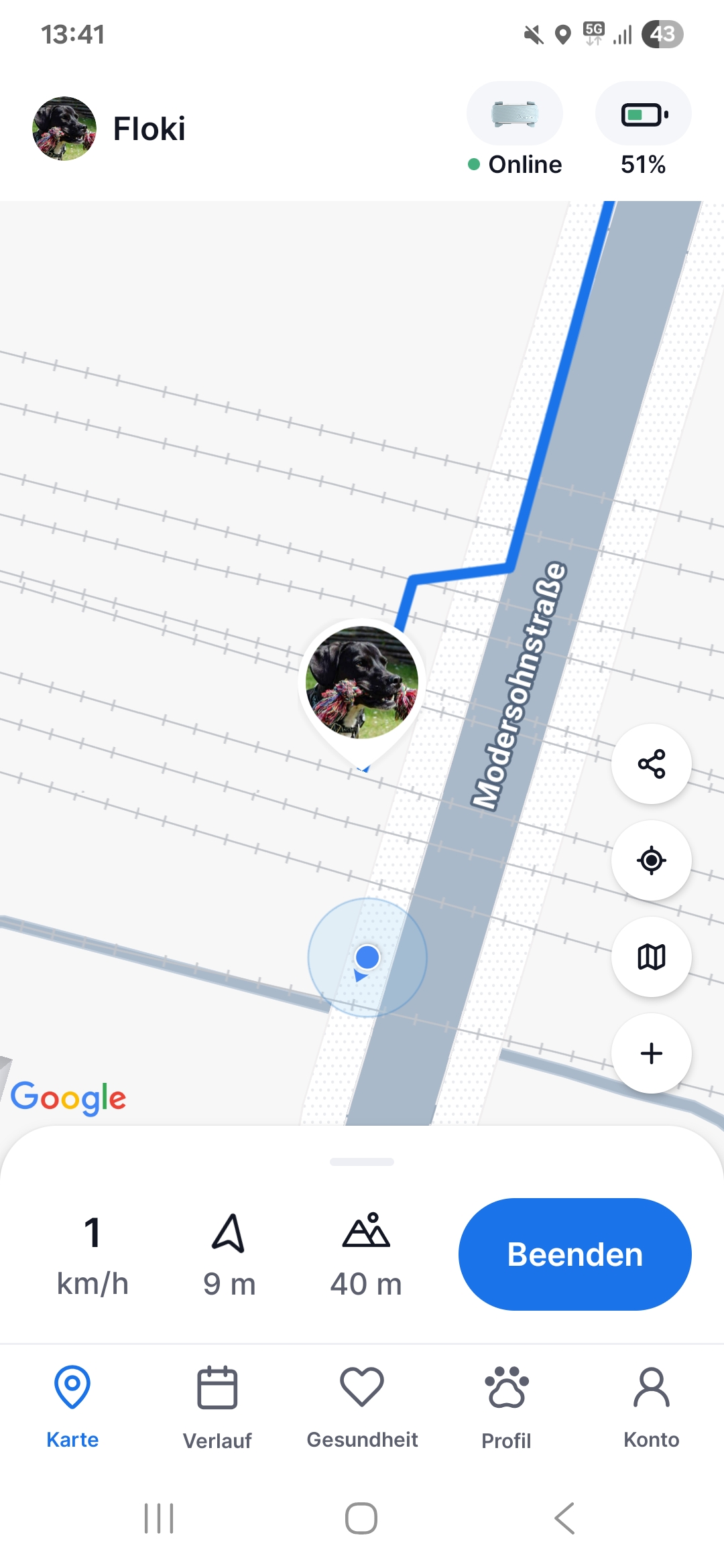 Tractive-GPS-Tracker-App: Tracking - Floki lief eigentlich direkt vor mir und nicht auf den Schienen ;)