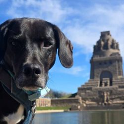 Floki in Leipzig am Völkerschlachtsdenkmal