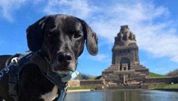 Floki in Leipzig am Völkerschlachtsdenkmal