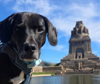Floki in Leipzig am Völkerschlachtsdenkmal